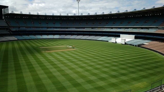 作为我国的 作为我国的