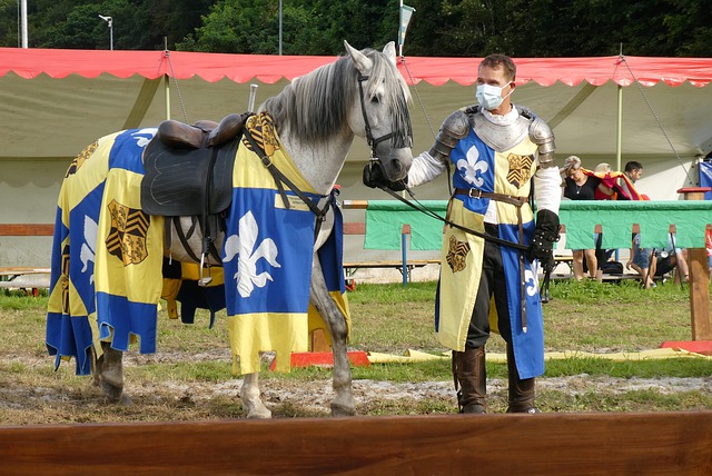 了季后赛入 了季后赛入