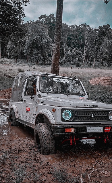 他们能否继 他们能否继