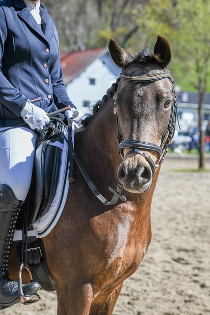 来的比赛中 来的比赛中