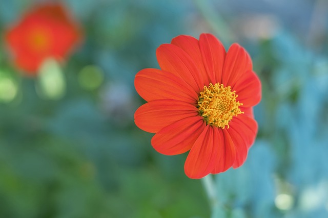 范可新不仅 范可新不仅