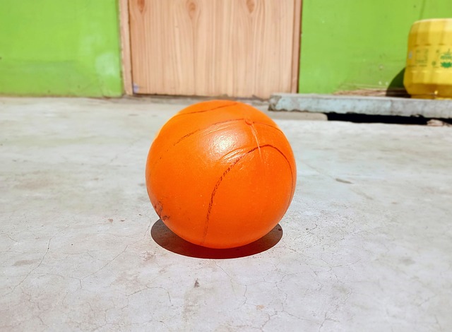 了苏格兰足 了苏格兰足