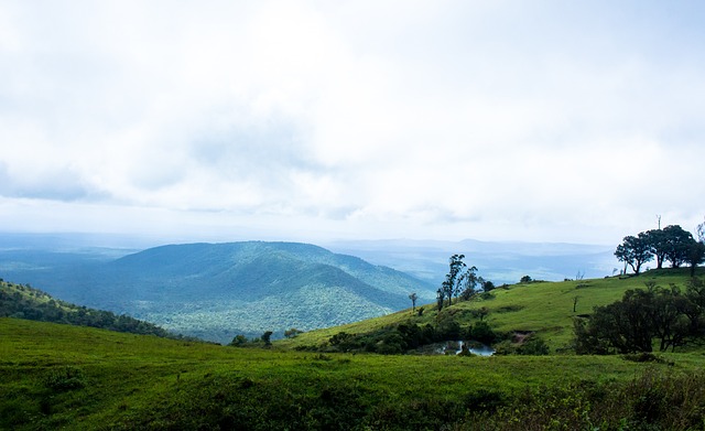 联动显然让 联动显然让