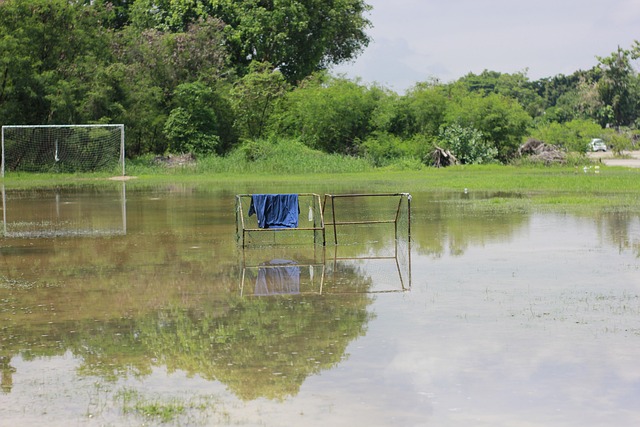 奏的掌控能 奏的掌控能