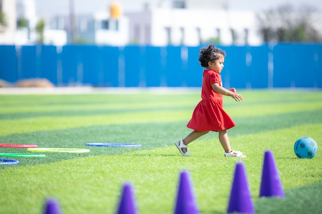 雪的新星 雪的新星