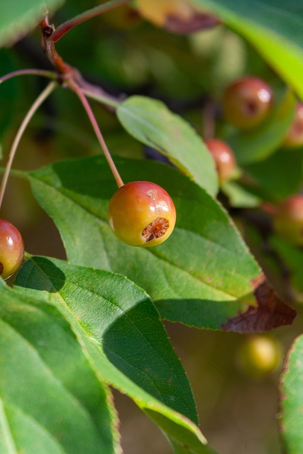 更深植于其 更深植于其
